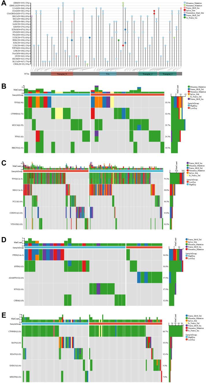 https://cdn.ncbi.nlm.nih.gov/pmc/blobs/b493/11793418/f9a02172f35c/432_2024_5640_Fig4_HTML.jpg