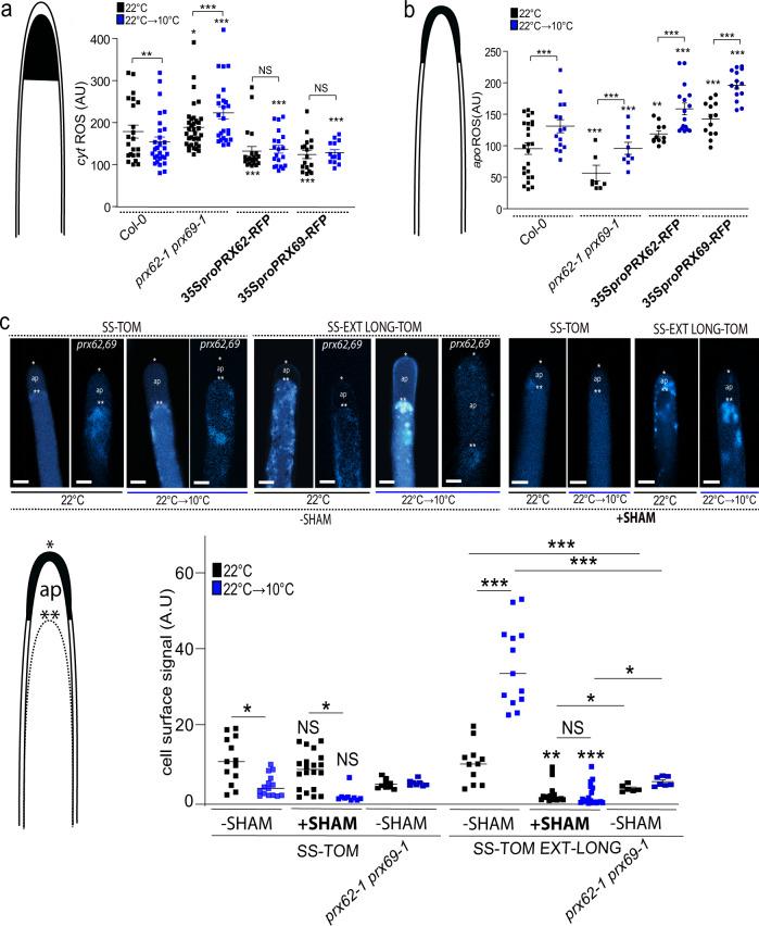 https://cdn.ncbi.nlm.nih.gov/pmc/blobs/b493/8921275/23b644072128/41467_2022_28833_Fig5_HTML.jpg