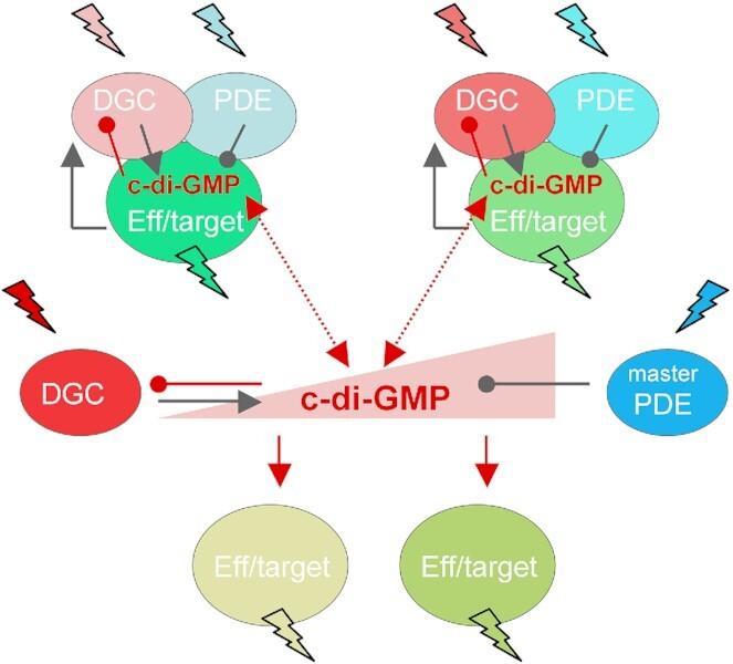 https://cdn.ncbi.nlm.nih.gov/pmc/blobs/b494/10118264/e8ef6477a221/uqad015fig4.jpg