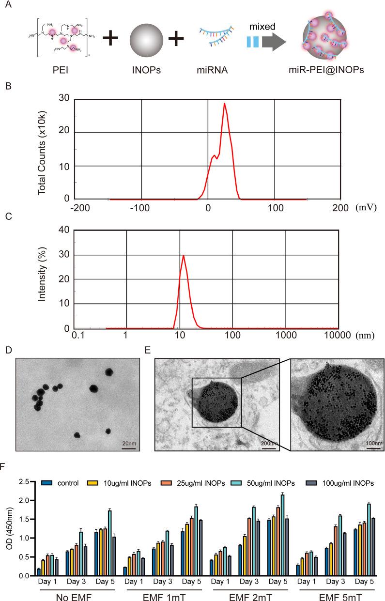 https://cdn.ncbi.nlm.nih.gov/pmc/blobs/b494/9875474/41d4549b3ec7/12951_2023_1789_Fig1_HTML.jpg