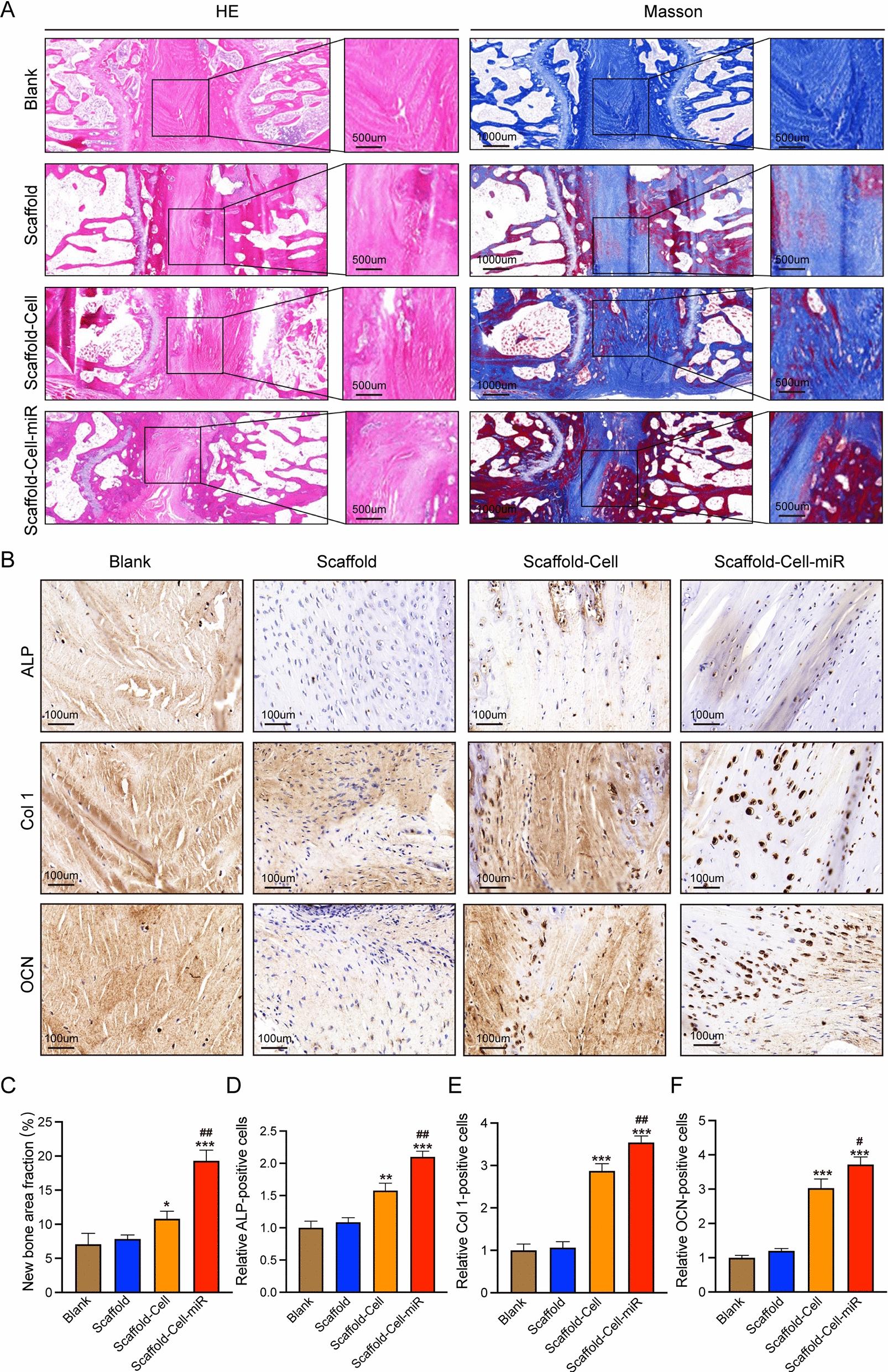 https://cdn.ncbi.nlm.nih.gov/pmc/blobs/b494/9875474/44addd41aa97/12951_2023_1789_Fig7_HTML.jpg