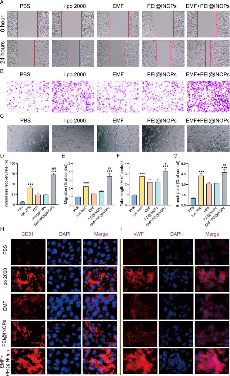 https://cdn.ncbi.nlm.nih.gov/pmc/blobs/b494/9875474/6312e4893484/12951_2023_1789_Fig4_HTML.jpg