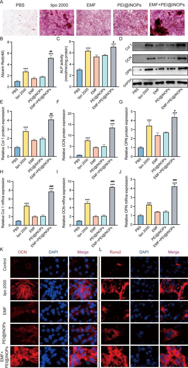https://cdn.ncbi.nlm.nih.gov/pmc/blobs/b494/9875474/6f887191f81d/12951_2023_1789_Fig3_HTML.jpg
