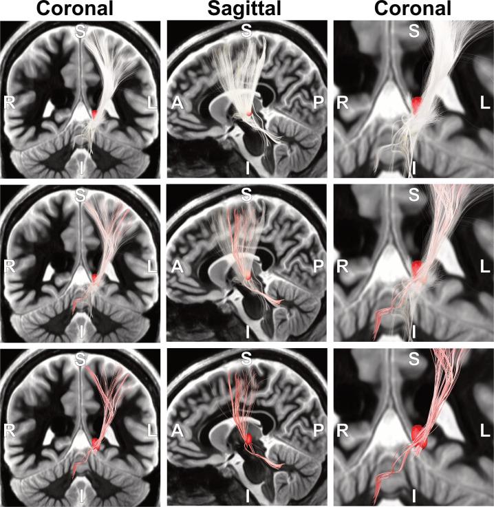 https://cdn.ncbi.nlm.nih.gov/pmc/blobs/b495/12077504/c76a9c98a27b/sciadv.adp0532-f2.jpg