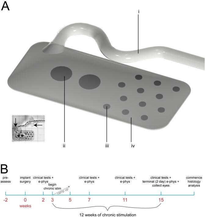 https://cdn.ncbi.nlm.nih.gov/pmc/blobs/b495/4031073/7a20833a135f/pone.0097182.g001.jpg