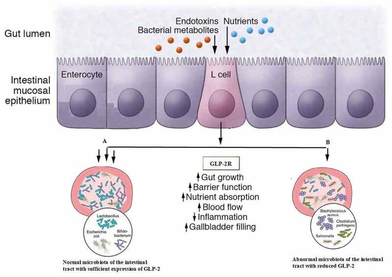 https://cdn.ncbi.nlm.nih.gov/pmc/blobs/b49a/8806733/38291533d6e0/KBIE_A_1958600_UF0001_OC.jpg