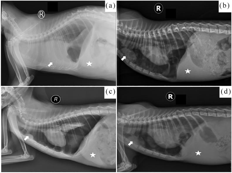 https://cdn.ncbi.nlm.nih.gov/pmc/blobs/b49b/10814504/3e0d603bfbbc/10.1177_1098612X19886395-fig2.jpg