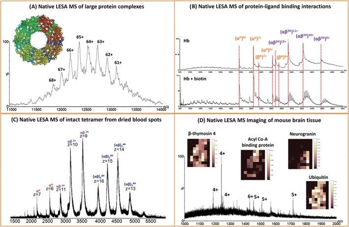 https://cdn.ncbi.nlm.nih.gov/pmc/blobs/b49e/6001466/0fa3090bb421/JMS-53-565-g009.jpg