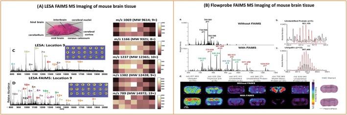 https://cdn.ncbi.nlm.nih.gov/pmc/blobs/b49e/6001466/a837424eca4d/JMS-53-565-g008.jpg