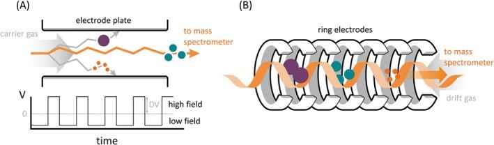 https://cdn.ncbi.nlm.nih.gov/pmc/blobs/b49e/6001466/e5af67a97f08/JMS-53-565-g007.jpg