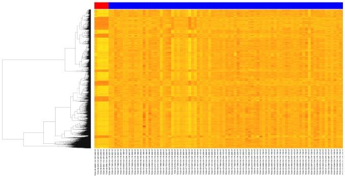 https://cdn.ncbi.nlm.nih.gov/pmc/blobs/b4a0/5865882/debfa8d44c8d/mmr-16-05-7468-g02.jpg
