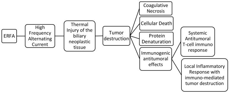 https://cdn.ncbi.nlm.nih.gov/pmc/blobs/b4a1/10266199/0a921bec5e63/fonc-13-1077794-g001.jpg