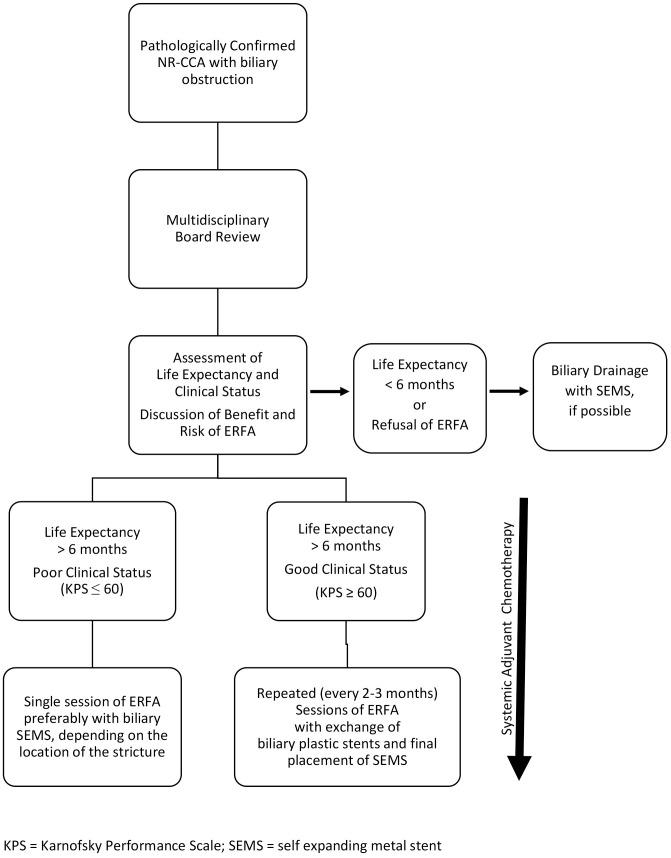 https://cdn.ncbi.nlm.nih.gov/pmc/blobs/b4a1/10266199/b4756ffefca2/fonc-13-1077794-g002.jpg