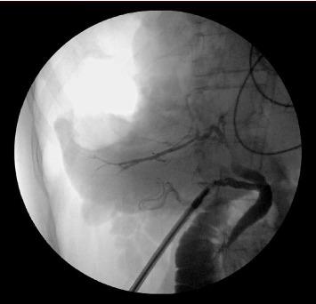 https://cdn.ncbi.nlm.nih.gov/pmc/blobs/b4a3/12356676/5e21132fbc26/CRIGM2025-1244948.004.jpg