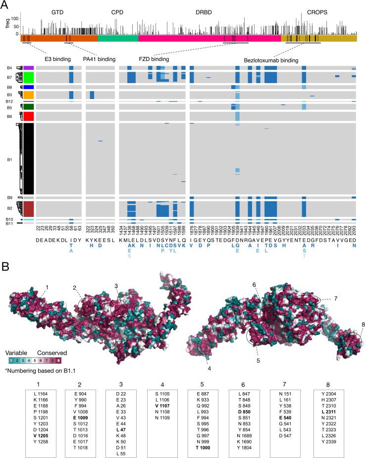 https://cdn.ncbi.nlm.nih.gov/pmc/blobs/b4a3/7853461/f48ddc5e3d01/ppat.1009181.g004.jpg