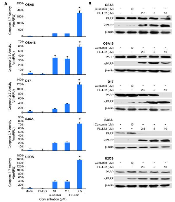 https://cdn.ncbi.nlm.nih.gov/pmc/blobs/b4a5/3074561/3e0cf86ccac1/1471-2407-11-112-2.jpg