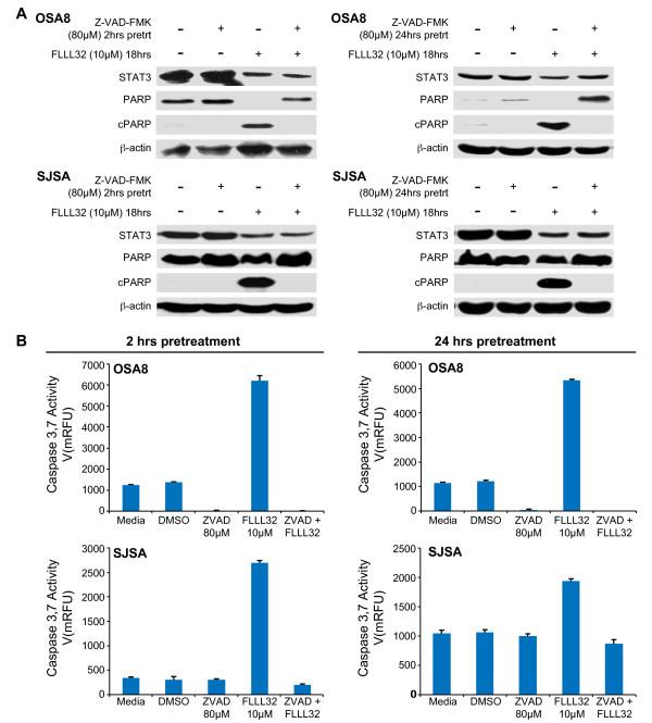 https://cdn.ncbi.nlm.nih.gov/pmc/blobs/b4a5/3074561/5cdcb012735d/1471-2407-11-112-7.jpg