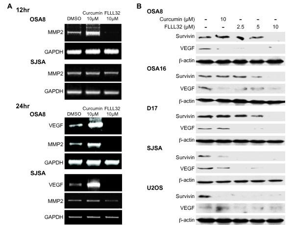 https://cdn.ncbi.nlm.nih.gov/pmc/blobs/b4a5/3074561/b54ff6e71aab/1471-2407-11-112-4.jpg
