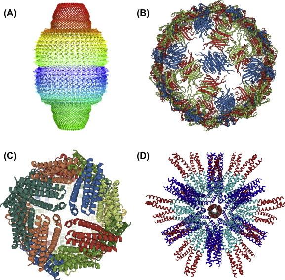 https://cdn.ncbi.nlm.nih.gov/pmc/blobs/b4a6/7092859/a9302eb01d01/gr2.jpg