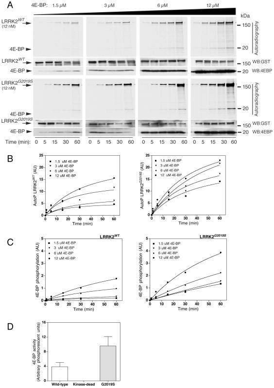 https://cdn.ncbi.nlm.nih.gov/pmc/blobs/b4a8/2806920/37277b5fb67f/pone.0008730.g001.jpg
