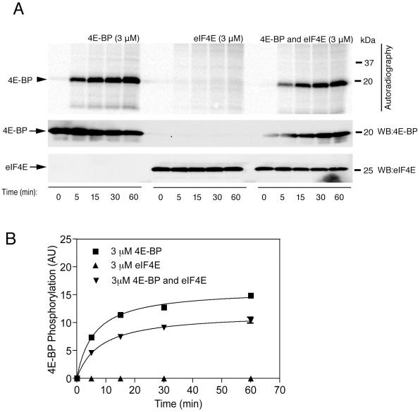 https://cdn.ncbi.nlm.nih.gov/pmc/blobs/b4a8/2806920/ad3e194ecb3c/pone.0008730.g002.jpg