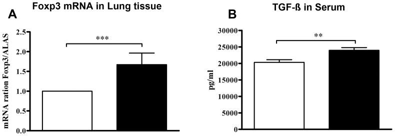 https://cdn.ncbi.nlm.nih.gov/pmc/blobs/b4ad/3391241/25964f28a0d9/pone.0040271.g004.jpg