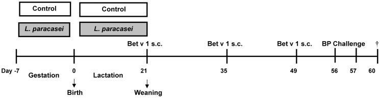 https://cdn.ncbi.nlm.nih.gov/pmc/blobs/b4ad/3391241/7d36ebca534d/pone.0040271.g001.jpg