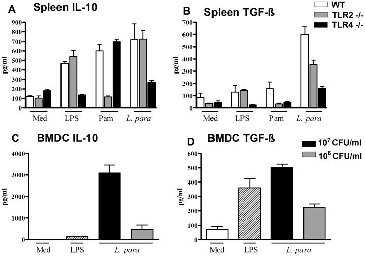 https://cdn.ncbi.nlm.nih.gov/pmc/blobs/b4ad/3391241/7f03b4d8482e/pone.0040271.g007.jpg