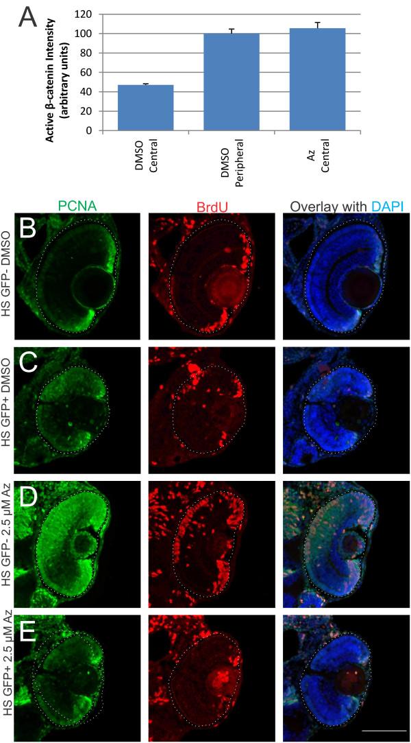 https://cdn.ncbi.nlm.nih.gov/pmc/blobs/b4ae/3549768/07bf75b3f407/1749-8104-7-30-5.jpg