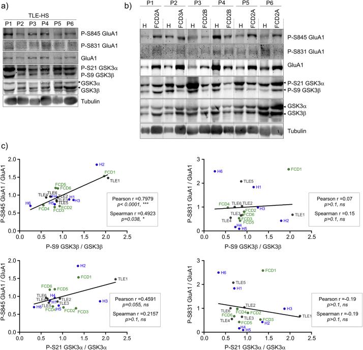 https://cdn.ncbi.nlm.nih.gov/pmc/blobs/b4b2/6355642/406dc36deb8a/gr3.jpg