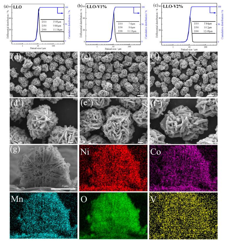 https://cdn.ncbi.nlm.nih.gov/pmc/blobs/b4b3/12251330/814ee713ffc4/nanomaterials-15-01017-g001.jpg