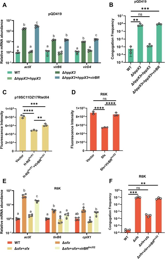https://cdn.ncbi.nlm.nih.gov/pmc/blobs/b4b4/11915502/cf70a6bbe64d/gkaf182fig5.jpg