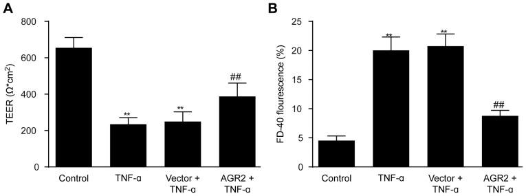https://cdn.ncbi.nlm.nih.gov/pmc/blobs/b4b5/5403182/6d2f36949c9f/IJMM-39-05-1206-g02.jpg