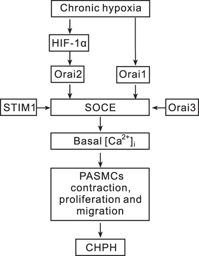 https://cdn.ncbi.nlm.nih.gov/pmc/blobs/b4b5/5702854/925f7a43e3aa/cddiscovery201774-f8.jpg