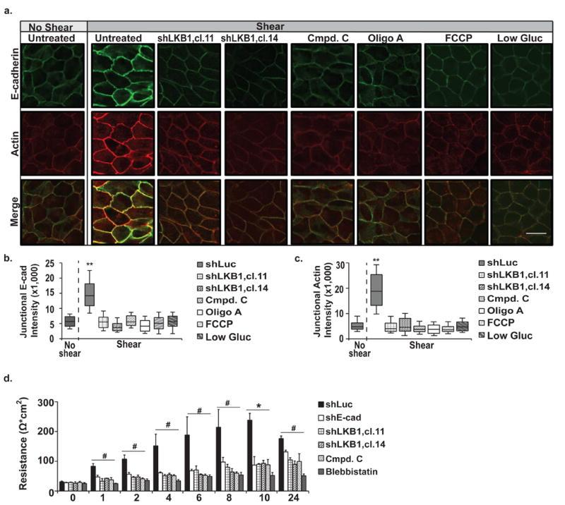 https://cdn.ncbi.nlm.nih.gov/pmc/blobs/b4b6/5494977/b682bec5591c/nihms871042f5.jpg