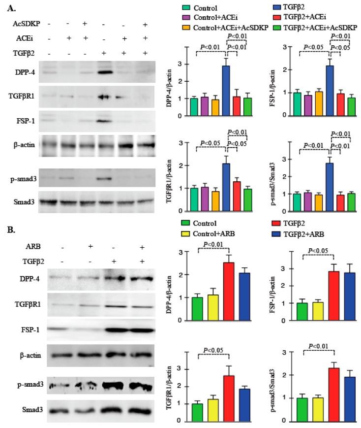 https://cdn.ncbi.nlm.nih.gov/pmc/blobs/b4b6/7074526/0136ce01b0bb/genes-11-00211-g003.jpg