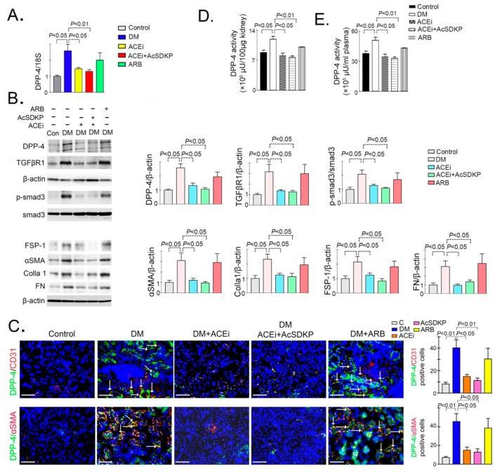 https://cdn.ncbi.nlm.nih.gov/pmc/blobs/b4b6/7074526/8f965fcf397c/genes-11-00211-g001.jpg