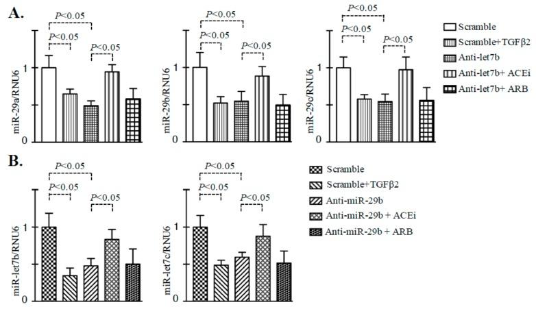 https://cdn.ncbi.nlm.nih.gov/pmc/blobs/b4b6/7074526/d43d26b5417a/genes-11-00211-g006.jpg