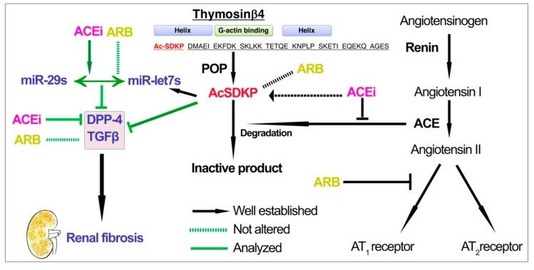https://cdn.ncbi.nlm.nih.gov/pmc/blobs/b4b6/7074526/de256774188f/genes-11-00211-g007.jpg