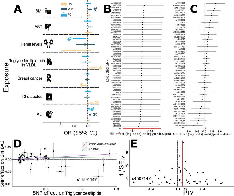 https://cdn.ncbi.nlm.nih.gov/pmc/blobs/b4b7/10960798/25561cd32ef6/41467_2024_46796_Fig5_HTML.jpg