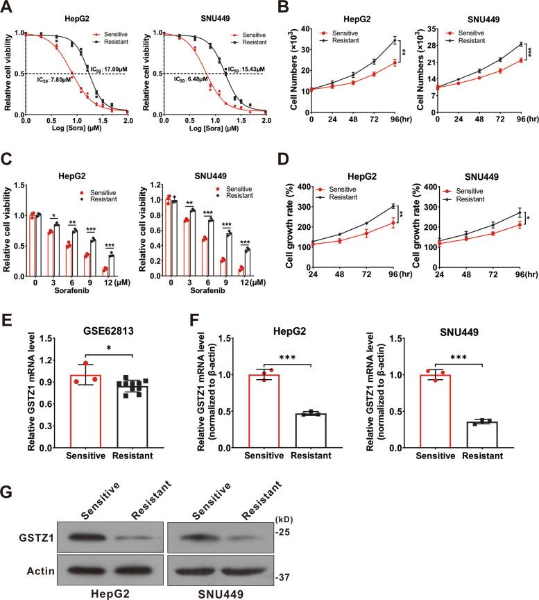 https://cdn.ncbi.nlm.nih.gov/pmc/blobs/b4b7/8087704/417496c27f19/41419_2021_3718_Fig1_HTML.jpg