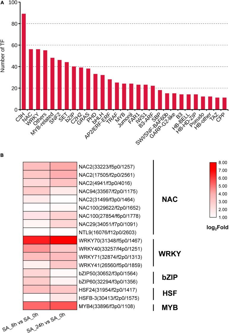 https://cdn.ncbi.nlm.nih.gov/pmc/blobs/b4b8/8039526/5a51c2a78dd4/fgene-12-657060-g006.jpg