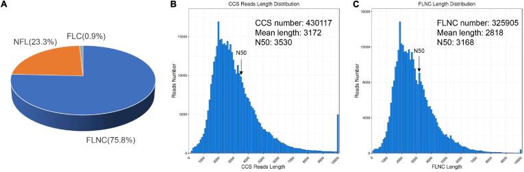 https://cdn.ncbi.nlm.nih.gov/pmc/blobs/b4b8/8039526/5f5b3556840f/fgene-12-657060-g002.jpg
