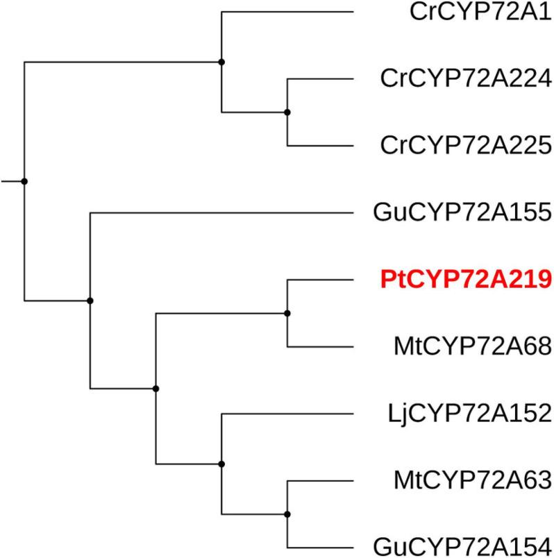 https://cdn.ncbi.nlm.nih.gov/pmc/blobs/b4b8/8039526/6b022d247a9c/fgene-12-657060-g008.jpg