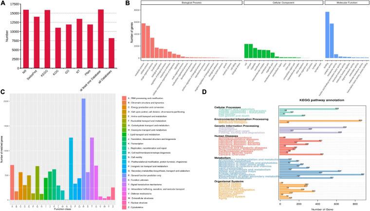 https://cdn.ncbi.nlm.nih.gov/pmc/blobs/b4b8/8039526/a11a71b6fa32/fgene-12-657060-g003.jpg