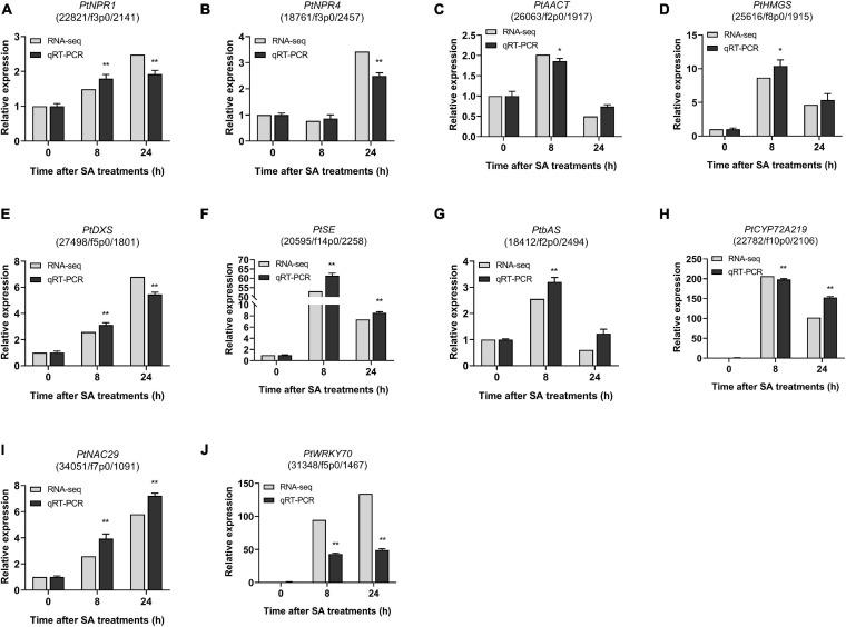 https://cdn.ncbi.nlm.nih.gov/pmc/blobs/b4b8/8039526/cde71da17be1/fgene-12-657060-g009.jpg