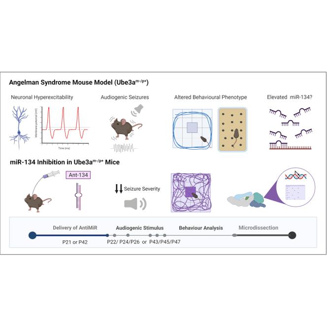 https://cdn.ncbi.nlm.nih.gov/pmc/blobs/b4ba/9092865/0f169e3dd59c/fx1.jpg