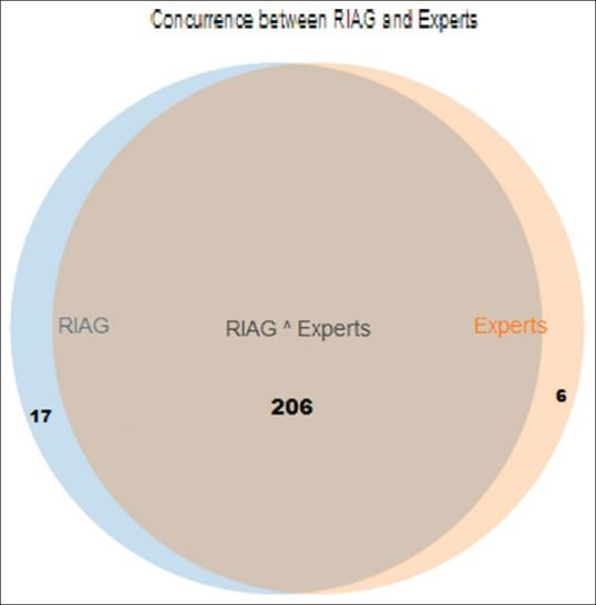 https://cdn.ncbi.nlm.nih.gov/pmc/blobs/b4bd/6611301/981d96682733/IJO-67-1089-g005.jpg
