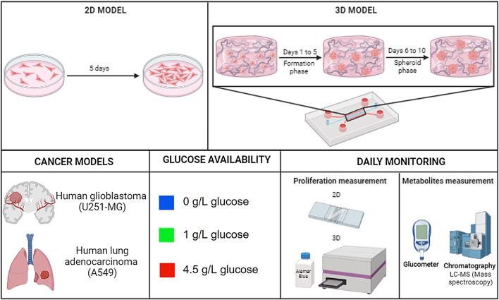 https://cdn.ncbi.nlm.nih.gov/pmc/blobs/b4be/12134292/98cd3b4a39b3/41598_2025_3504_Fig1_HTML.jpg
