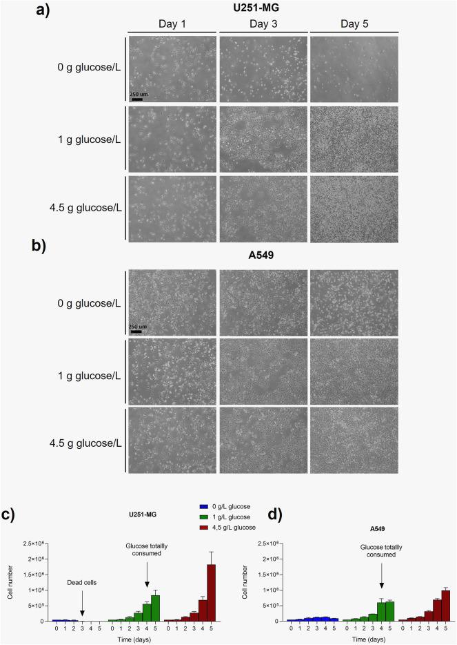 https://cdn.ncbi.nlm.nih.gov/pmc/blobs/b4be/12134292/b42f9f613cdc/41598_2025_3504_Fig2_HTML.jpg